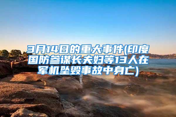 3月14日的重大事件(印度国防参谋长夫妇等13人在军机坠毁事故中身亡)