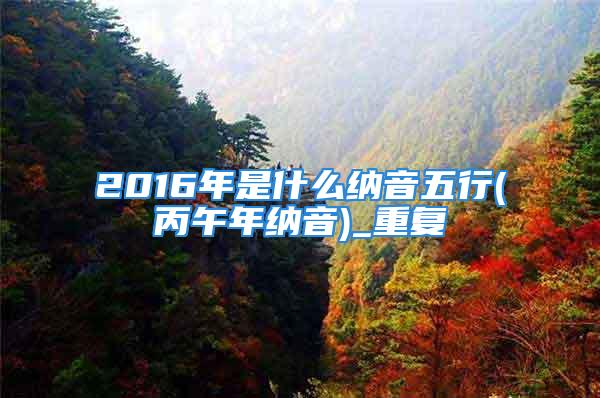 2016年是什么纳音五行(丙午年纳音)_重复