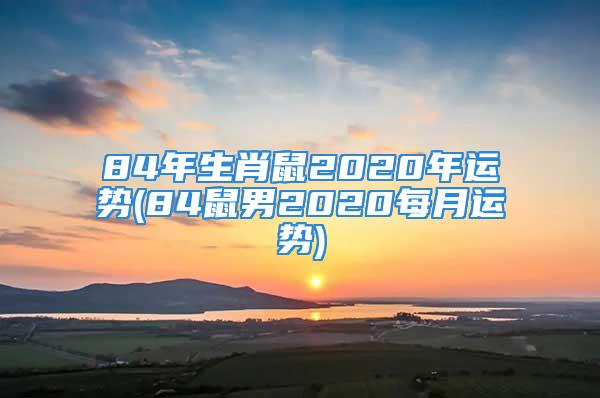 84年生肖鼠2020年运势(84鼠男2020每月运势)