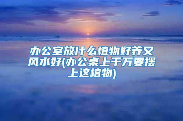 办公室放什么植物好养又风水好(办公桌上千万要摆上这植物)