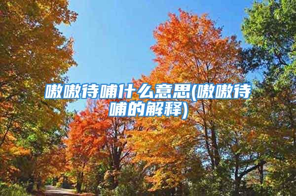 嗷嗷待哺什么意思(嗷嗷待哺的解释)