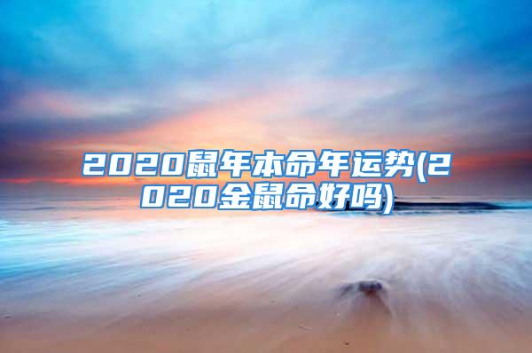 2020鼠年本命年运势(2020金鼠命好吗)