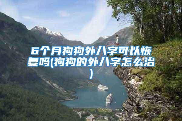 6个月狗狗外八字可以恢复吗(狗狗的外八字怎么治)