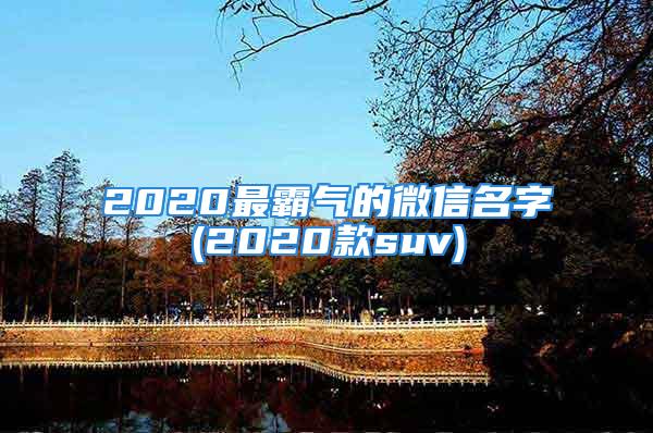 2020最霸气的微信名字(2020款suv)