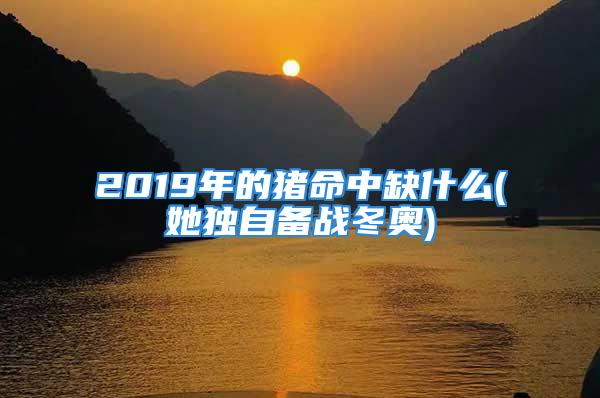 2019年的猪命中缺什么(她独自备战冬奥)