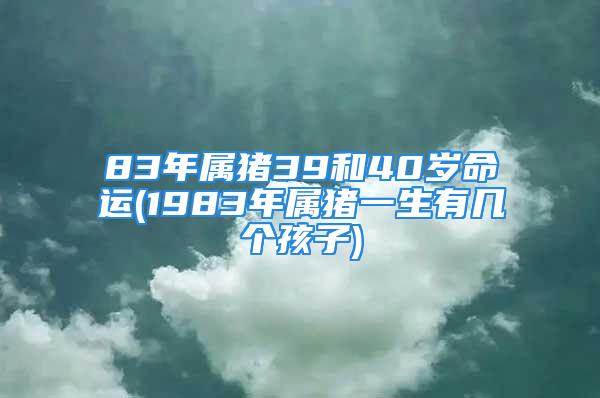 83年属猪39和40岁命运(1983年属猪一生有几个孩子)