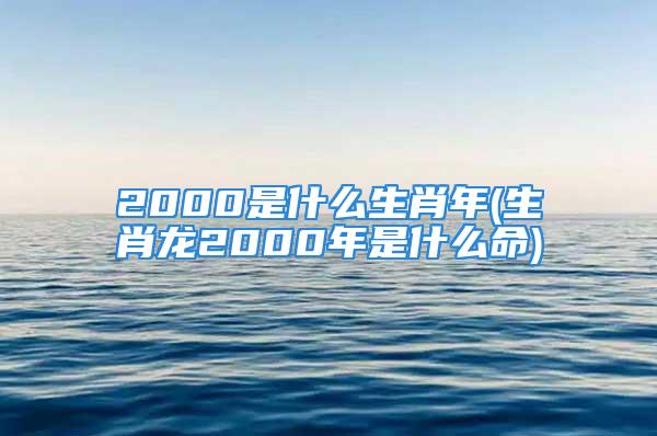 2000是什么生肖年(生肖龙2000年是什么命)