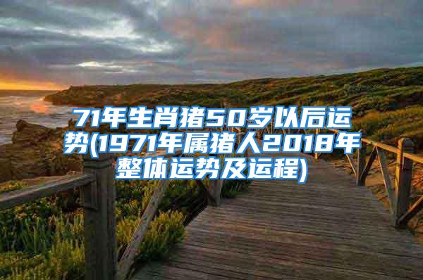 71年生肖猪50岁以后运势(1971年属猪人2018年整体运势及运程)