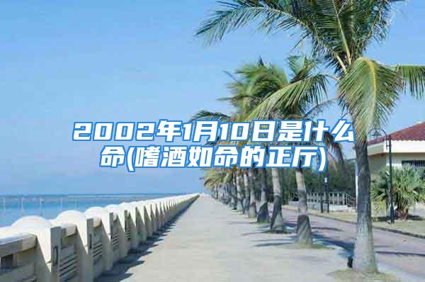 2002年1月10日是什么命(嗜酒如命的正厅)