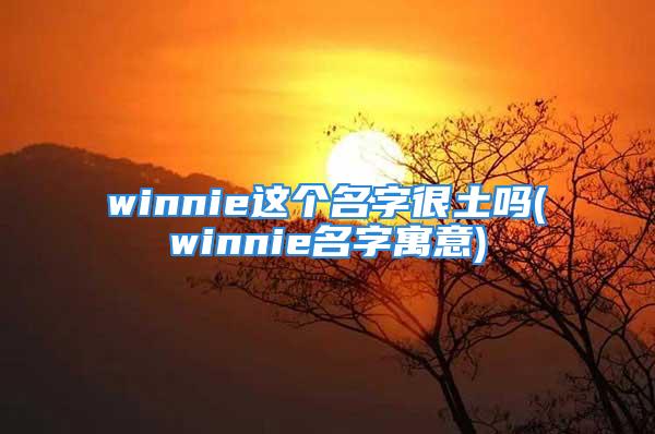 winnie这个名字很土吗(winnie名字寓意)