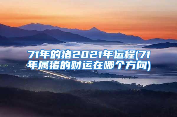 71年的猪2021年运程(71年属猪的财运在哪个方向)