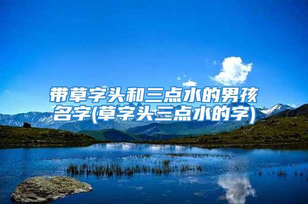 带草字头和三点水的男孩名字(草字头三点水的字)