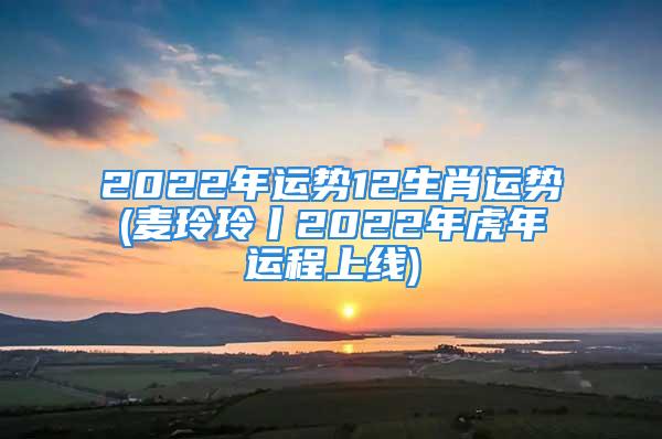 2022年运势12生肖运势(麦玲玲丨2022年虎年运程上线)