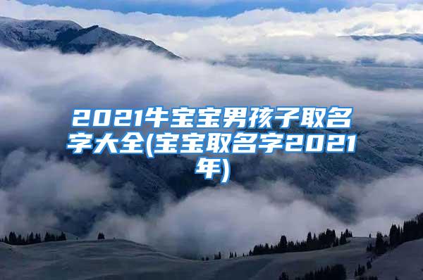 2021牛宝宝男孩子取名字大全(宝宝取名字2021年)