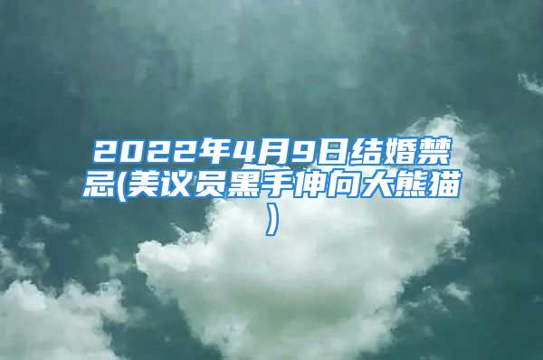 2022年4月9日结婚禁忌(美议员黑手伸向大熊猫)