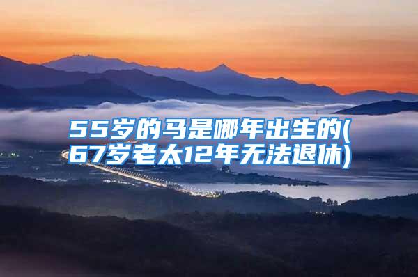 55岁的马是哪年出生的(67岁老太12年无法退休)