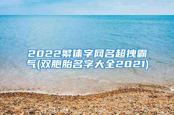 2022繁体字网名超拽霸气(双胞胎名字大全2021)