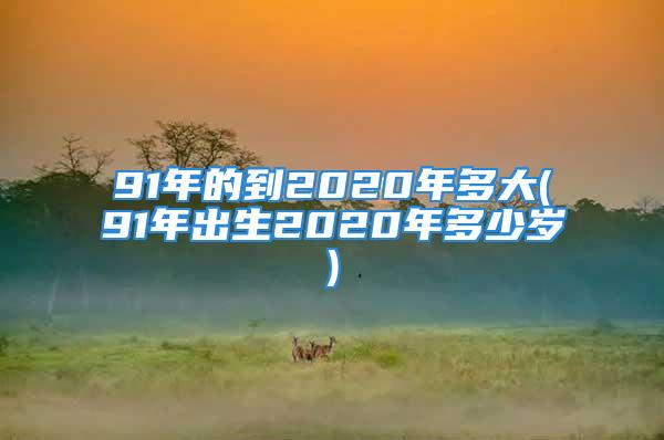 91年的到2020年多大(91年出生2020年多少岁)