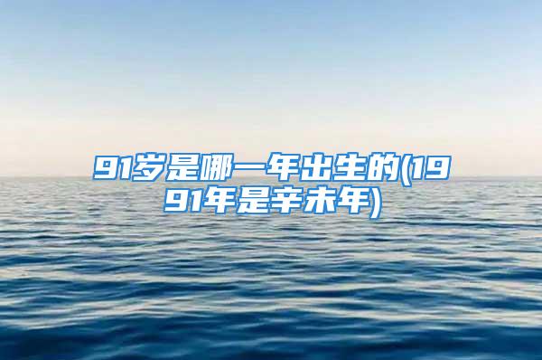 91岁是哪一年出生的(1991年是辛未年)