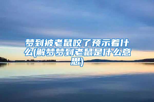 梦到被老鼠咬了预示着什么(解梦梦到老鼠是什么意思)