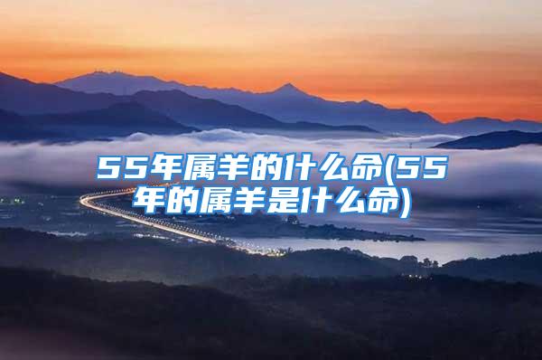 55年属羊的什么命(55年的属羊是什么命)