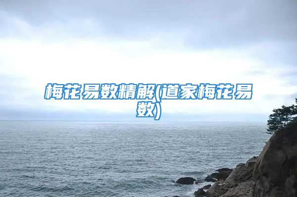 梅花易数精解(道家梅花易数)