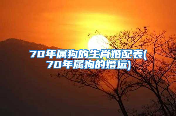 70年属狗的生肖婚配表(70年属狗的婚运)