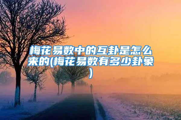 梅花易数中的互卦是怎么来的(梅花易数有多少卦象)