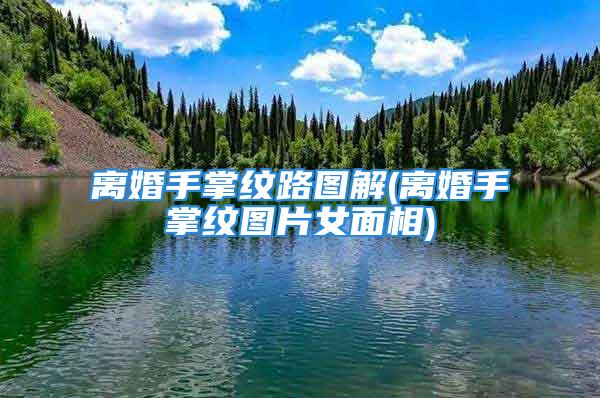 离婚手掌纹路图解(离婚手掌纹图片女面相)