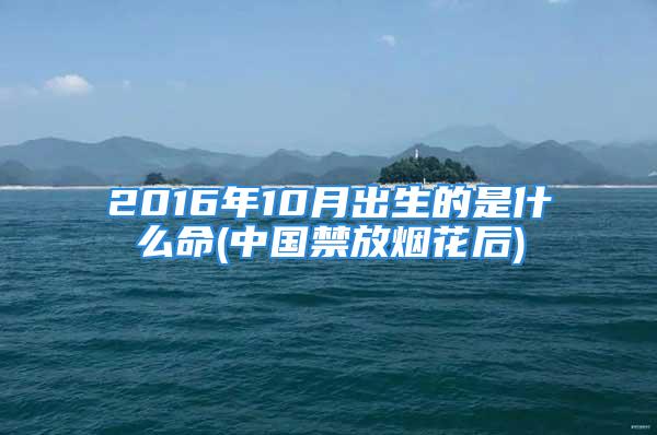 2016年10月出生的是什么命(中国禁放烟花后)