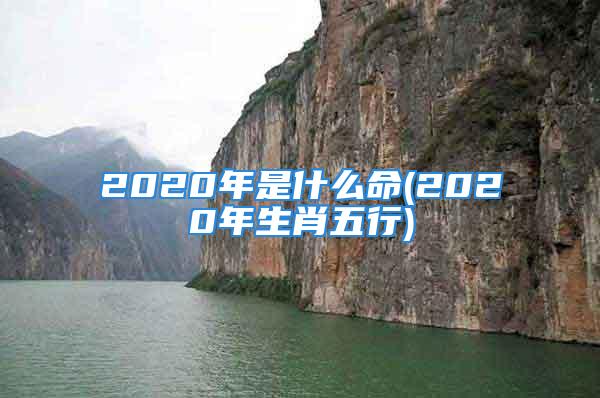 2020年是什么命(2020年生肖五行)