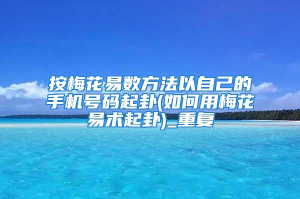 按梅花易数方法以自己的手机号码起卦(如何用梅花易术起卦)_重复