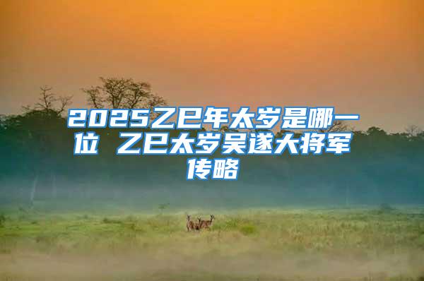 2025乙巳年太岁是哪一位 乙巳太岁吴遂大将军传略