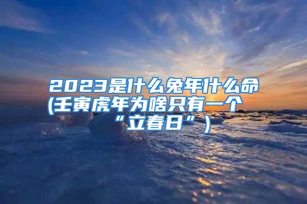 2023是什么兔年什么命(壬寅虎年为啥只有一个“立春日”)