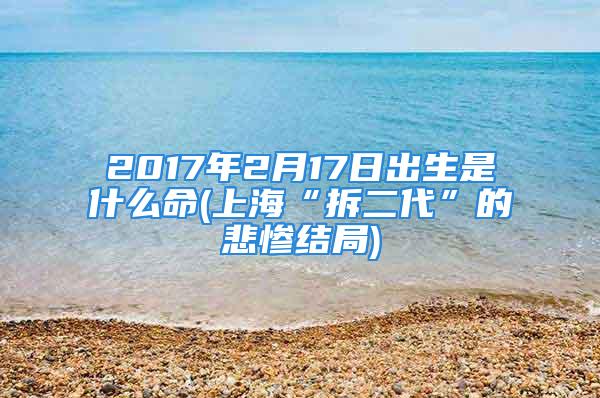 2017年2月17日出生是什么命(上海“拆二代”的悲惨结局)