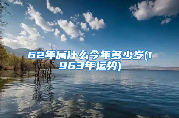 62年属什么今年多少岁(1963年运势)