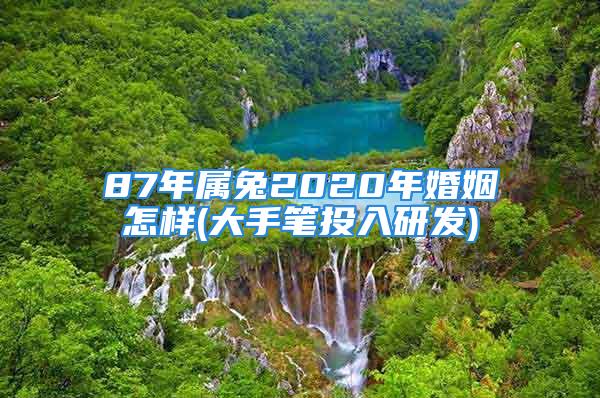 87年属兔2020年婚姻怎样(大手笔投入研发)