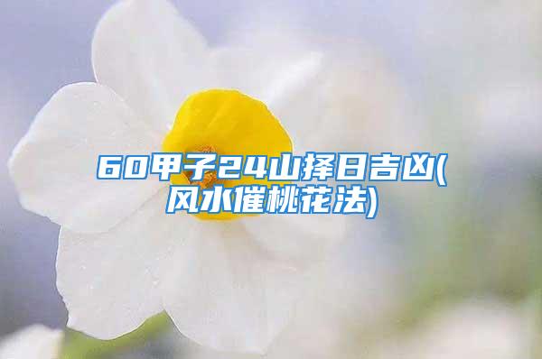 60甲子24山择日吉凶(风水催桃花法)