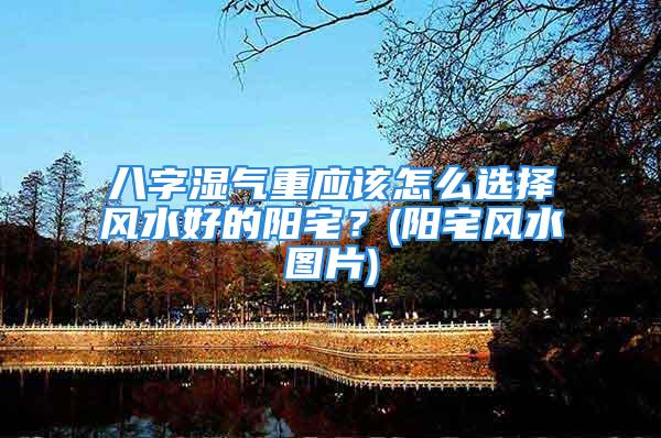 八字湿气重应该怎么选择风水好的阳宅？(阳宅风水图片)