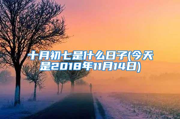 十月初七是什么日子(今天是2018年11月14日)