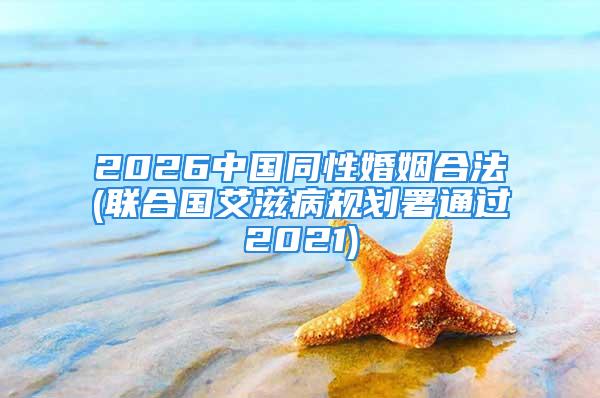 2026中国同性婚姻合法(联合国艾滋病规划署通过2021)