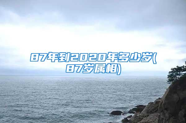 87年到2020年多少岁(87岁属相)