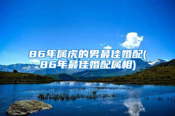 86年属虎的男最佳婚配(86年最佳婚配属相)