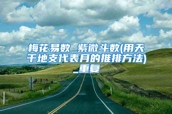 梅花易数 紫微斗数(用天干地支代表月的推排方法)_重复