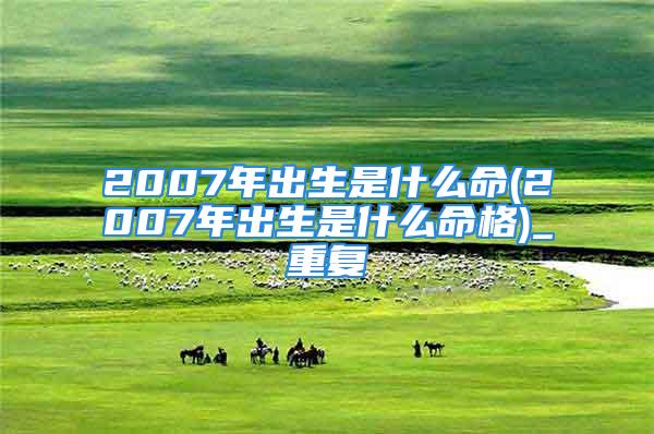 2007年出生是什么命(2007年出生是什么命格)_重复