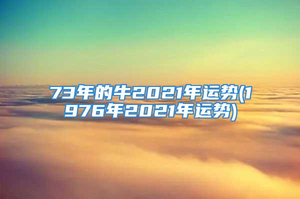 73年的牛2021年运势(1976年2021年运势)