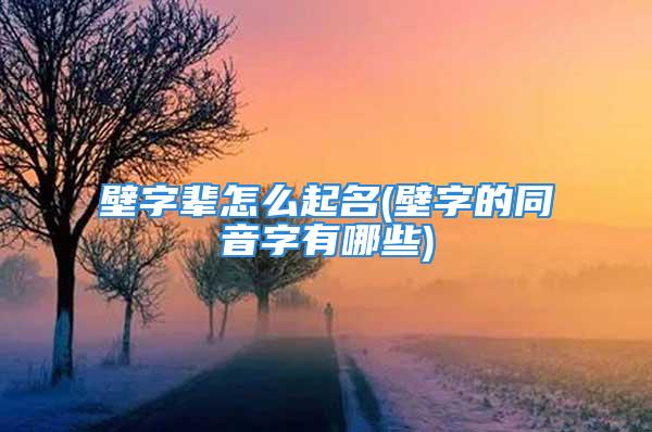 壁字辈怎么起名(壁字的同音字有哪些)