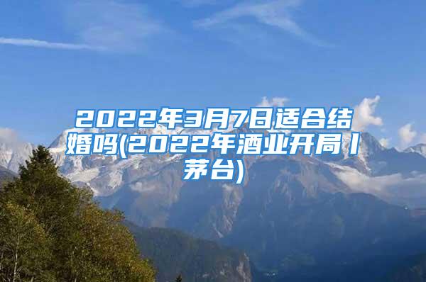 2022年3月7日适合结婚吗(2022年酒业开局丨茅台)