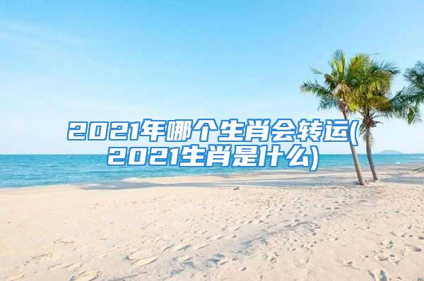 2021年哪个生肖会转运(2021生肖是什么)