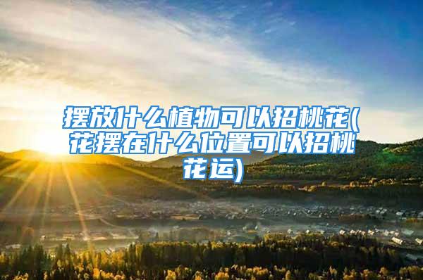 摆放什么植物可以招桃花(花摆在什么位置可以招桃花运)